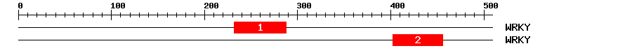 Signature Domain