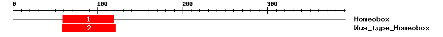 Signature Domain