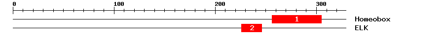 Signature Domain