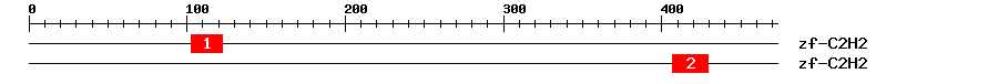Signature Domain
