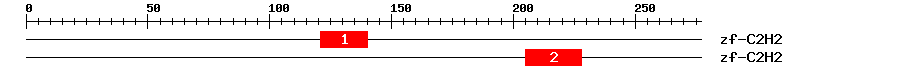 Signature Domain