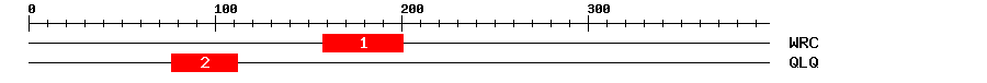 Signature Domain