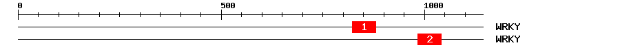 Signature Domain