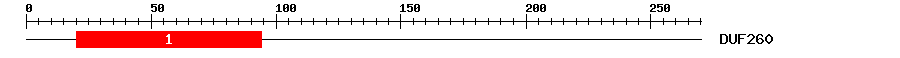 Signature Domain