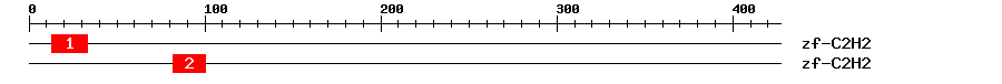 Signature Domain
