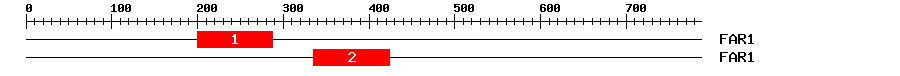 Signature Domain
