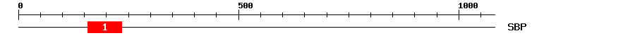 Signature Domain