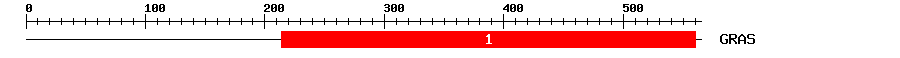 Signature Domain