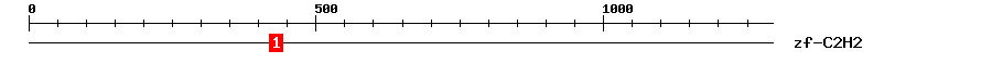 Signature Domain