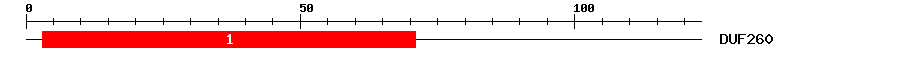 Signature Domain
