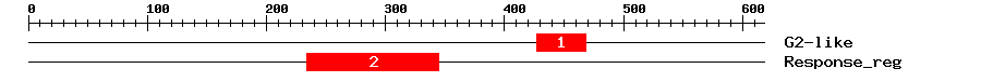 Signature Domain