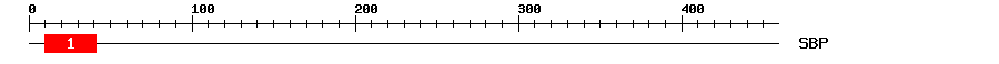 Signature Domain
