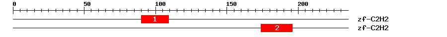 Signature Domain