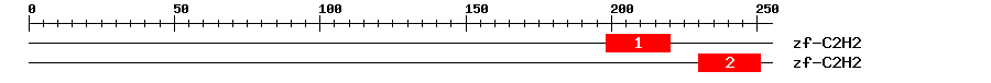 Signature Domain