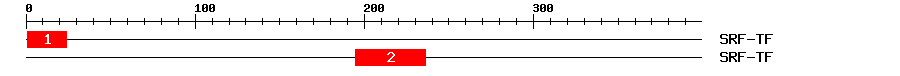 Signature Domain