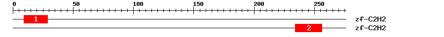 Signature Domain