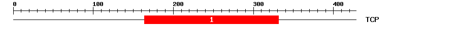 Signature Domain