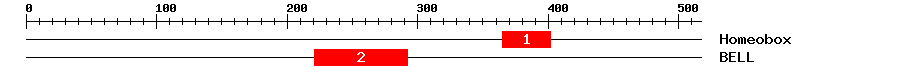 Signature Domain