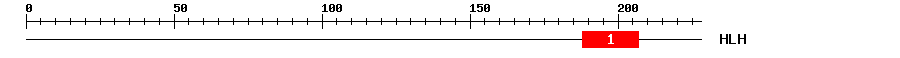 Signature Domain