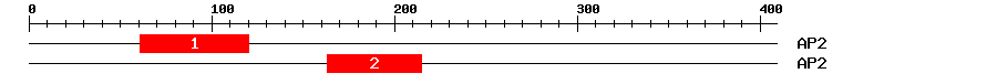 Signature Domain