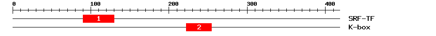 Signature Domain