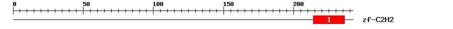 Signature Domain