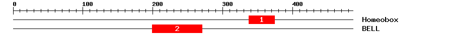 Signature Domain
