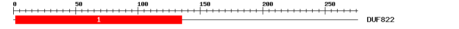 Signature Domain