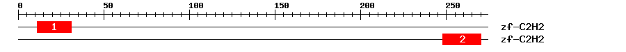 Signature Domain