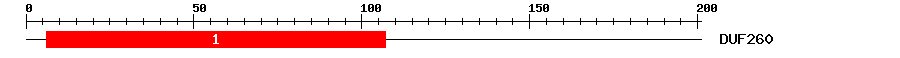 Signature Domain