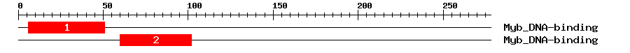 Signature Domain