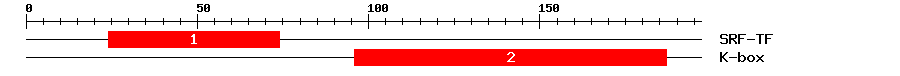 Signature Domain