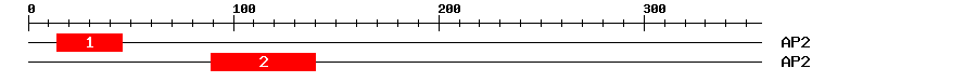 Signature Domain