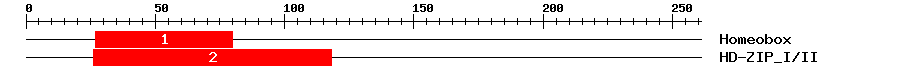 Signature Domain