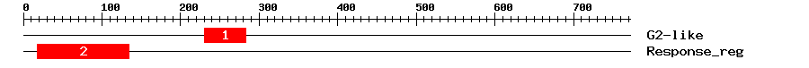 Signature Domain