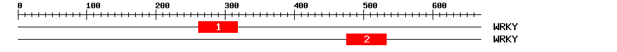 Signature Domain