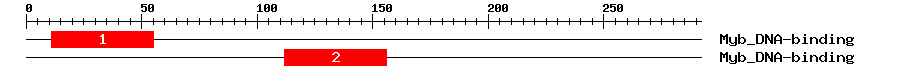 Signature Domain