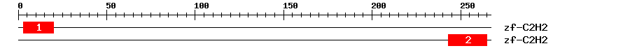 Signature Domain