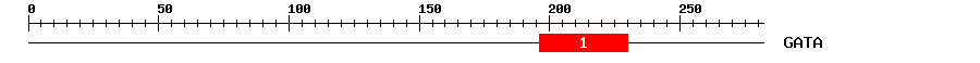 Signature Domain