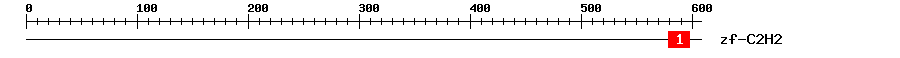 Signature Domain