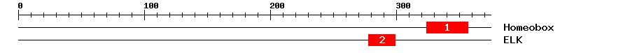 Signature Domain