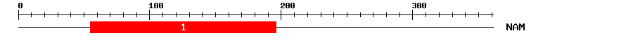 Signature Domain