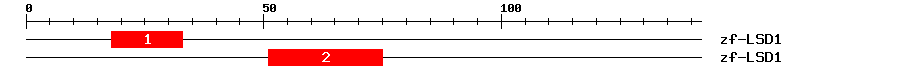 Signature Domain