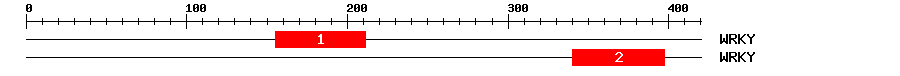 Signature Domain