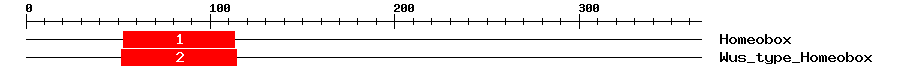 Signature Domain