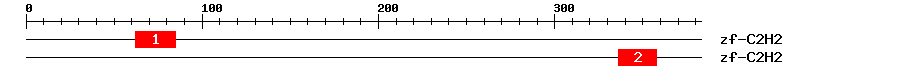 Signature Domain