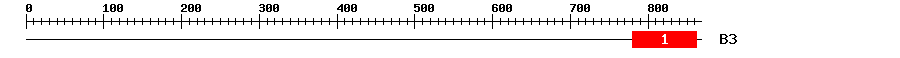 Signature Domain