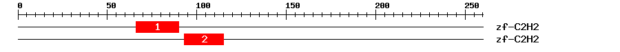 Signature Domain