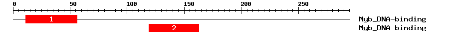 Signature Domain