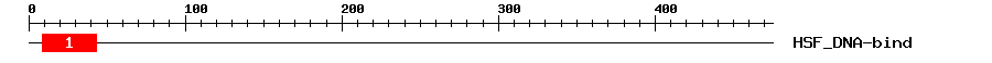 Signature Domain